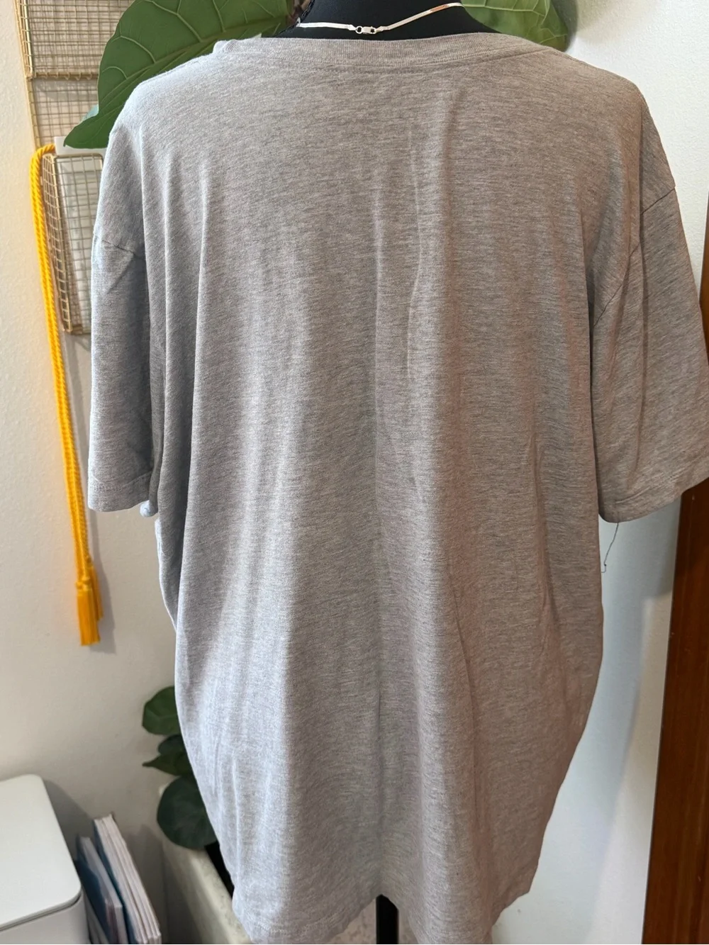 The North Face classic short